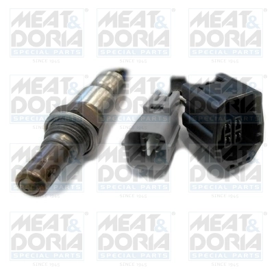 Oxygen Sensor
